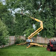 Best Lawn Maintenance Plans  in State Center, IA